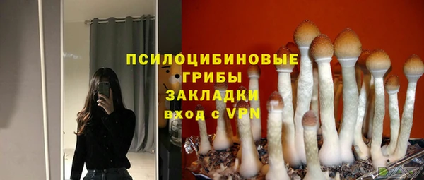 мескалин Вязьма