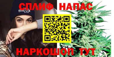 стафф Краснознаменск